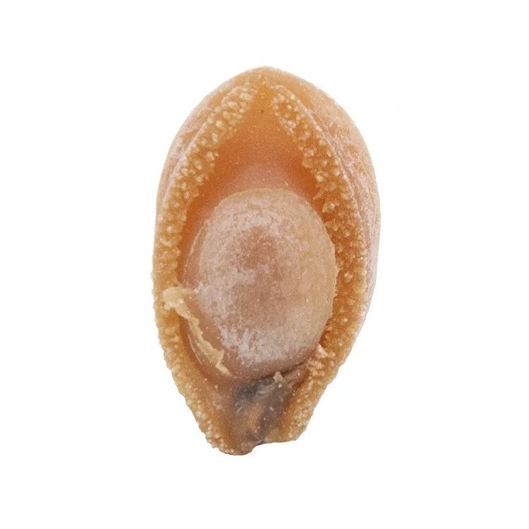 安記生曬南非網鮑 (56-60頭)