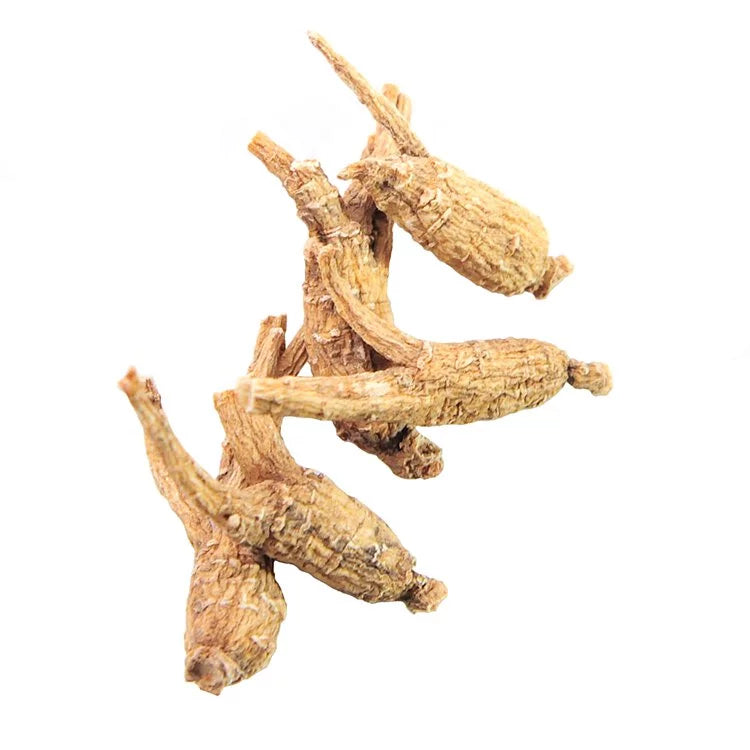 安記原尾特泡參150G