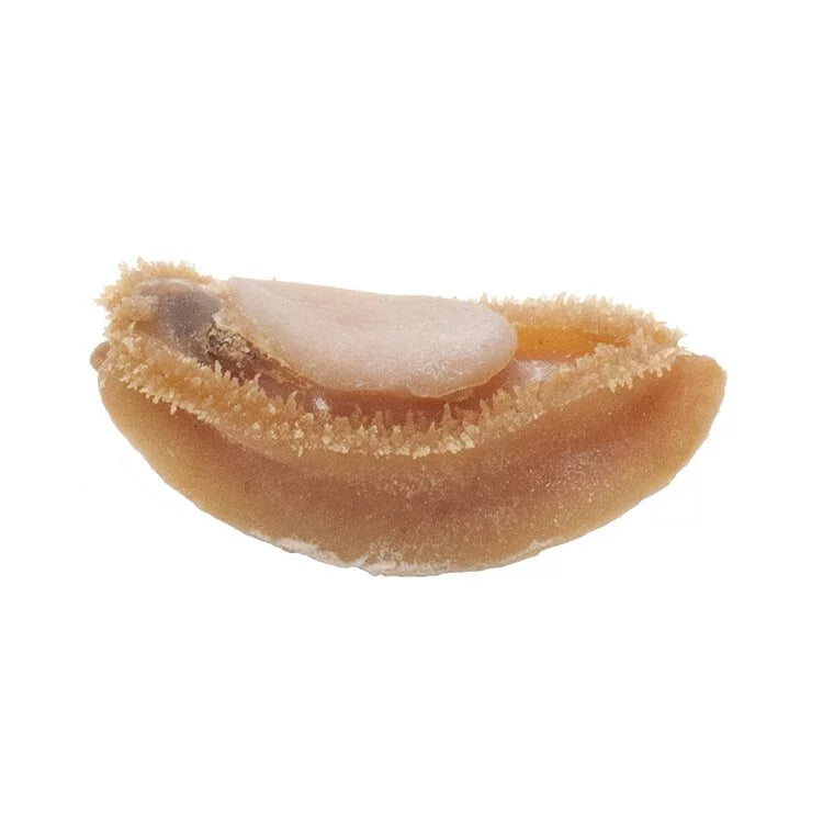 On Kee 27-30 pcs/ Catty South Africa Abalone