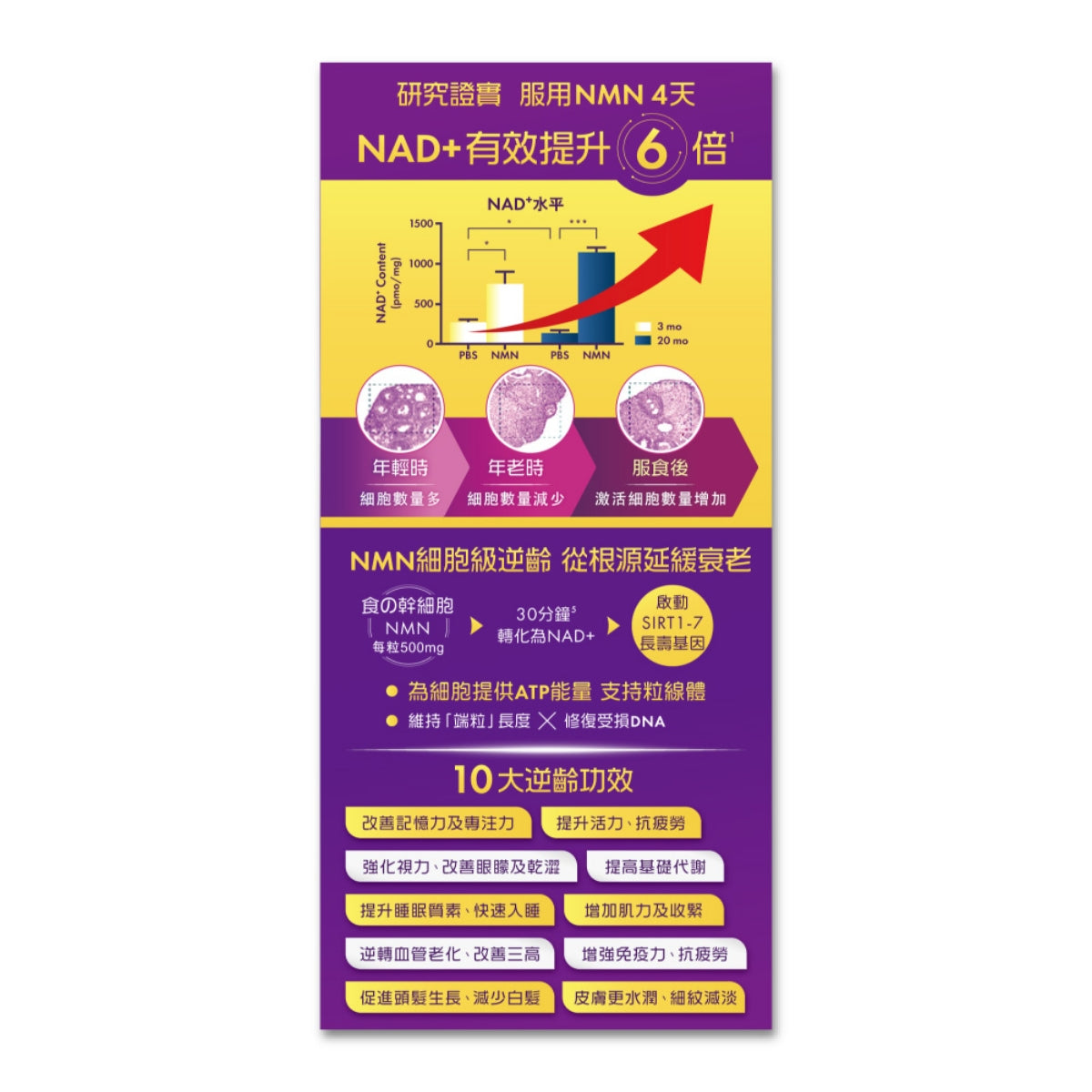 Revive維再生NMN 40000+ 82粒