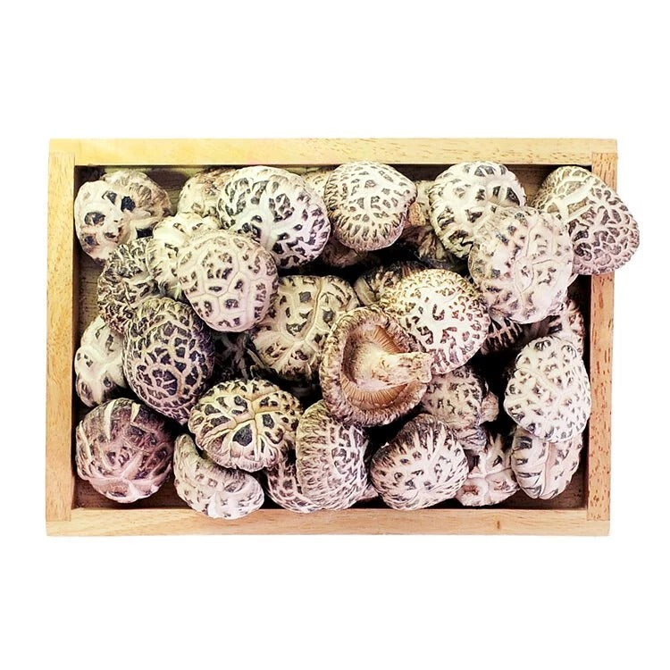 On Kee Flower Fall Inch Size Mushroom 300G