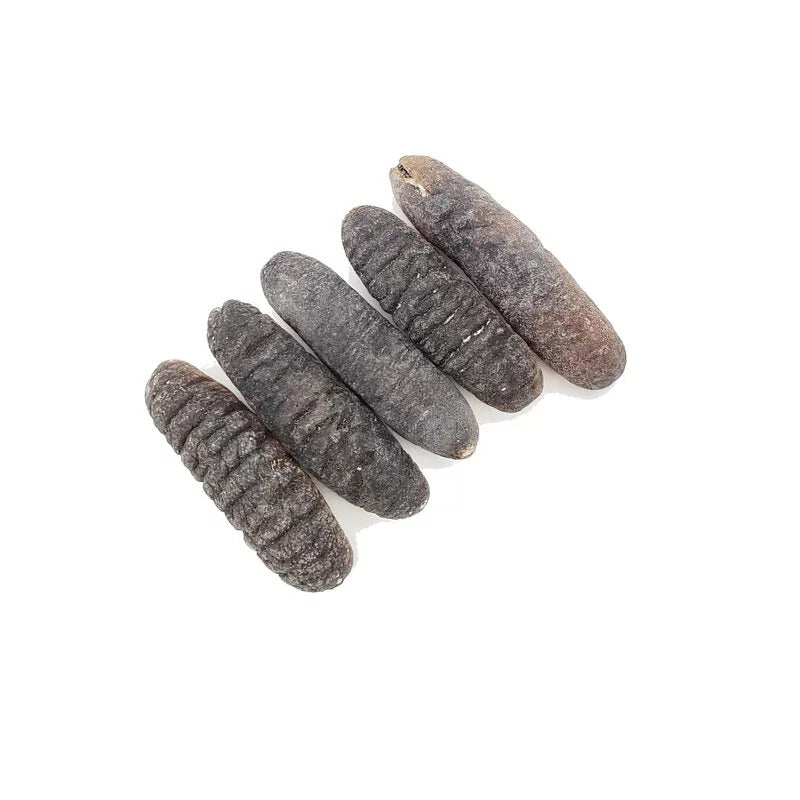 安記 41-47支/斤 南太平洋禿參 300G