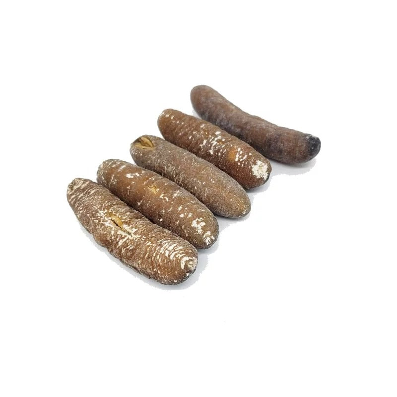 安記 41-47支/斤 南太平洋禿參 300G