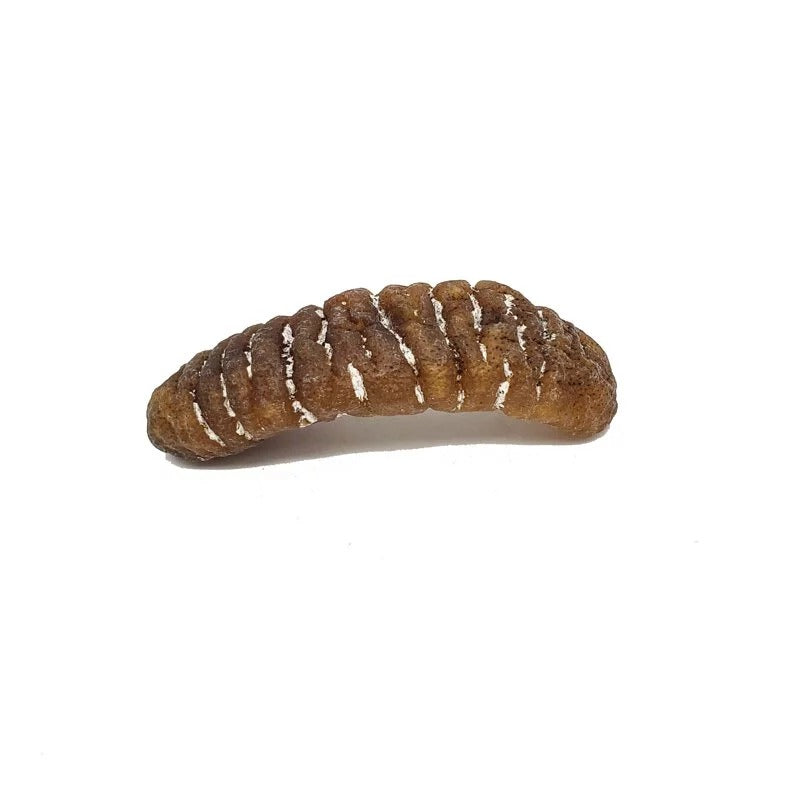 安記 15-18支/斤 澳洲清水大禿參皇 300G