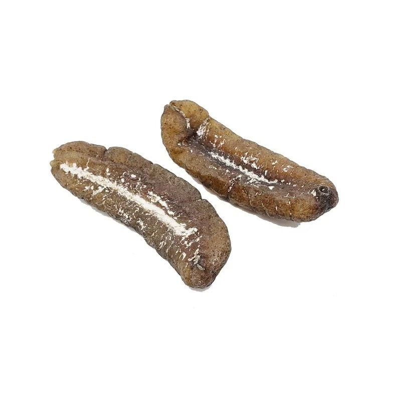 安記 15-18支/斤 澳洲清水大禿參皇 300G