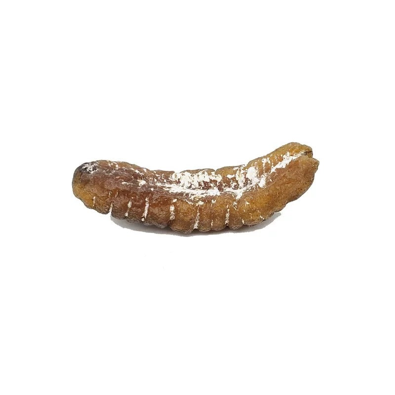 安記 15-18支/斤 澳洲清水大禿參皇 300G