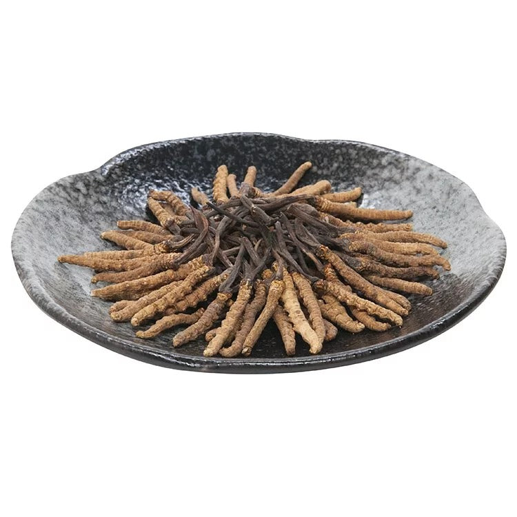 安記 西藏野生冬蟲草 (205-230條/兩) 37.5G