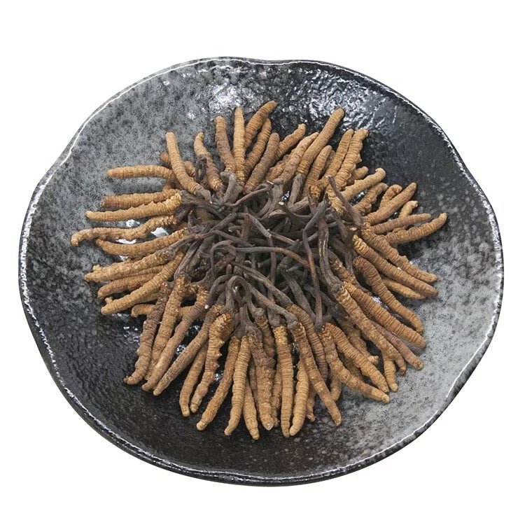 安記 西藏野山精選冬蟲草 (175-200條/兩) 37.5G