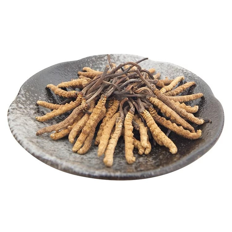 安記 西藏野生貢品冬蟲草 (110-120條/兩) 37.5G