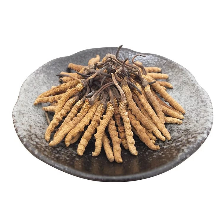 安記 西藏野生貢品冬蟲草皇 (85-95條/兩) 37.5G
