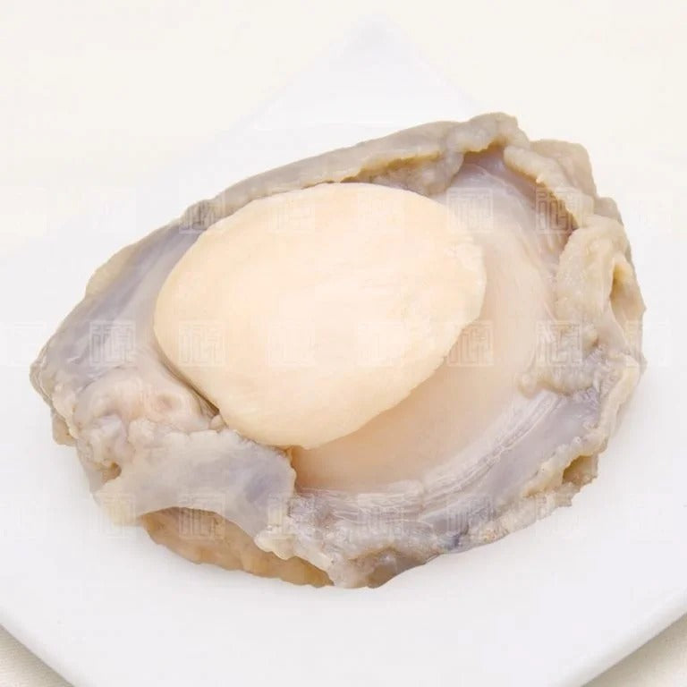南北行 澳洲清湯野生鮑魚110克(1隻)
