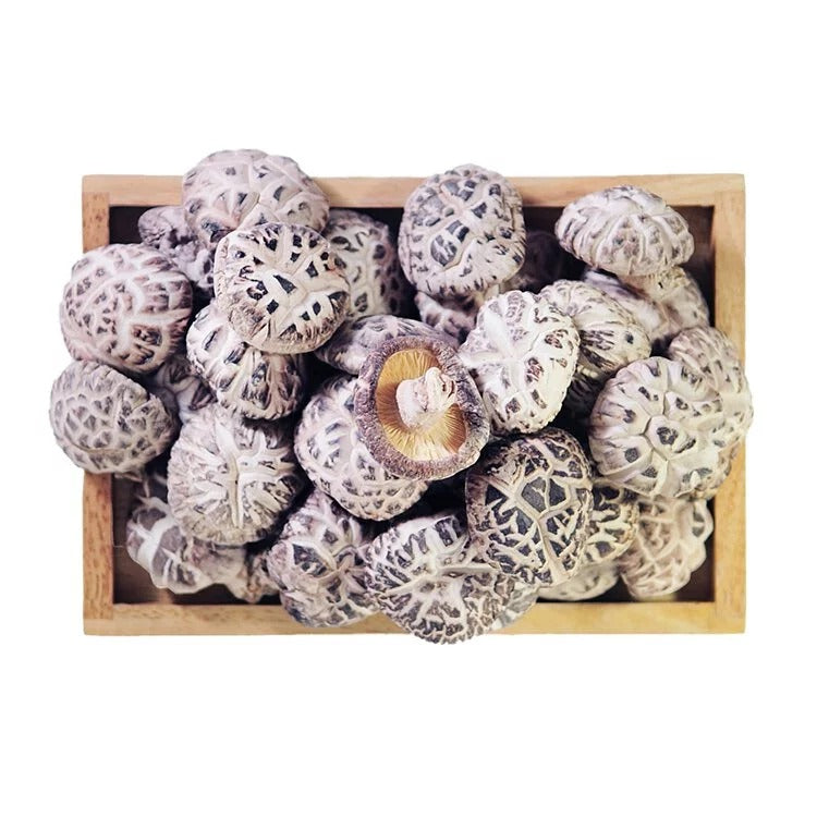 On Kee Flower Fall Mushroom 300G